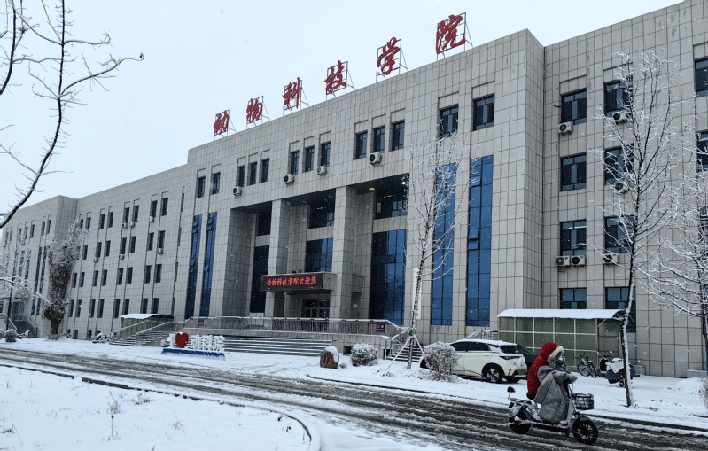 动科院小景2